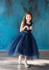 Little Girls Navy Beaded Flower Appliques Tulle Flower Girl Dress 2-6 - SophiasStyle.com